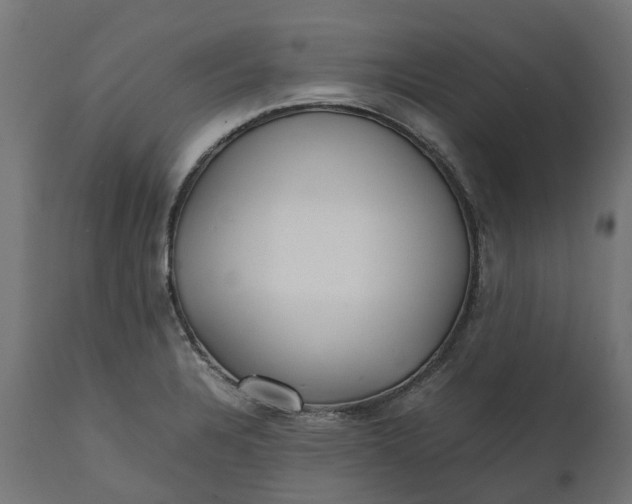 X0000111531328200907281353