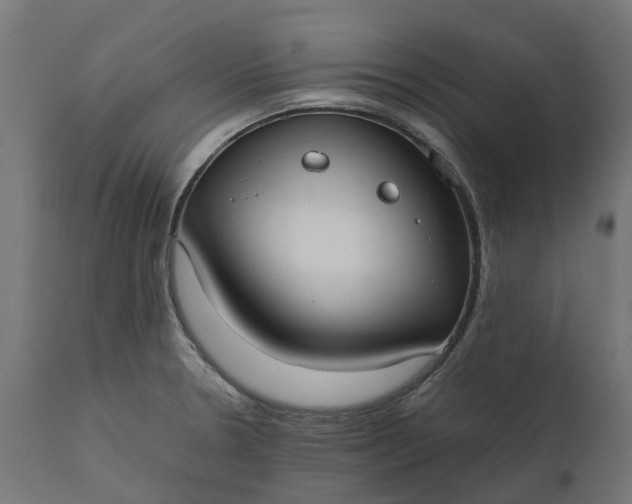 X0000111531330200907281353