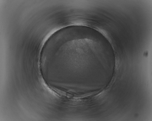 X0000111531331200907281353