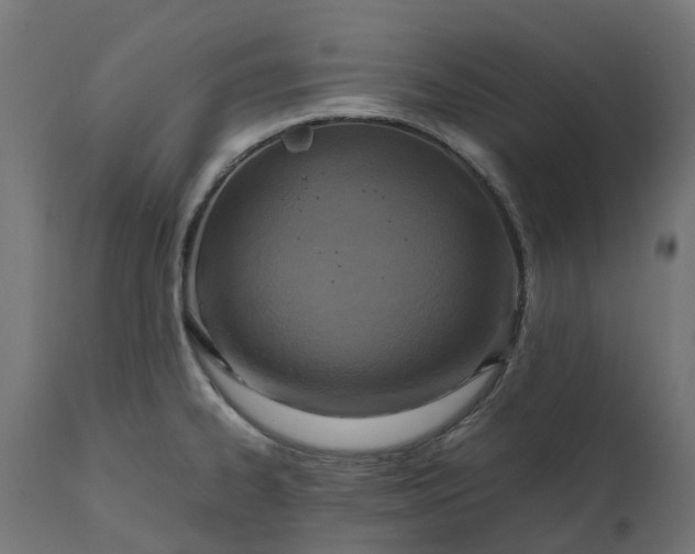 X0000111531334200907281353