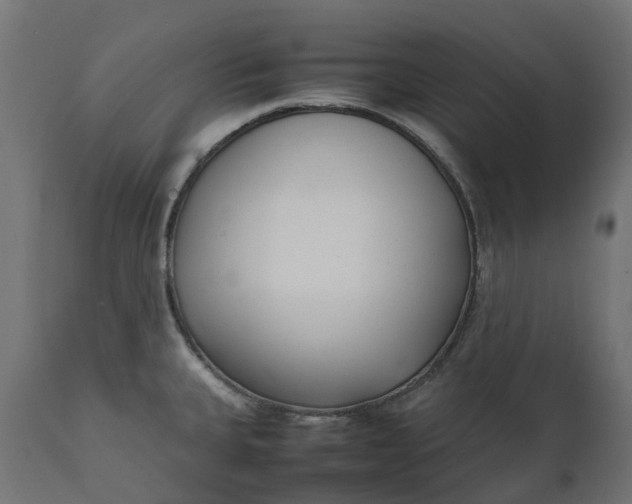 X0000111531335200907281353