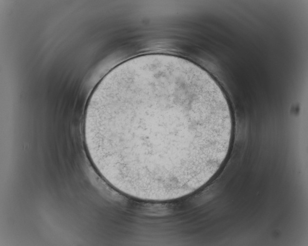 X0000111531338200907281353