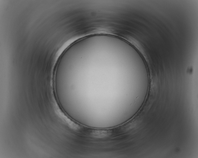 X0000111531339200907281353