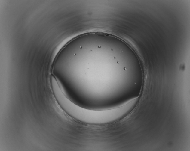 X0000111531340200907281353