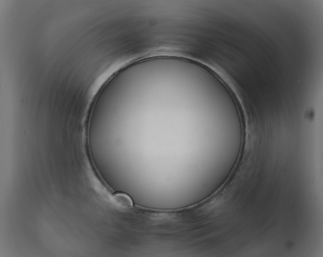 X0000111531341200907281353