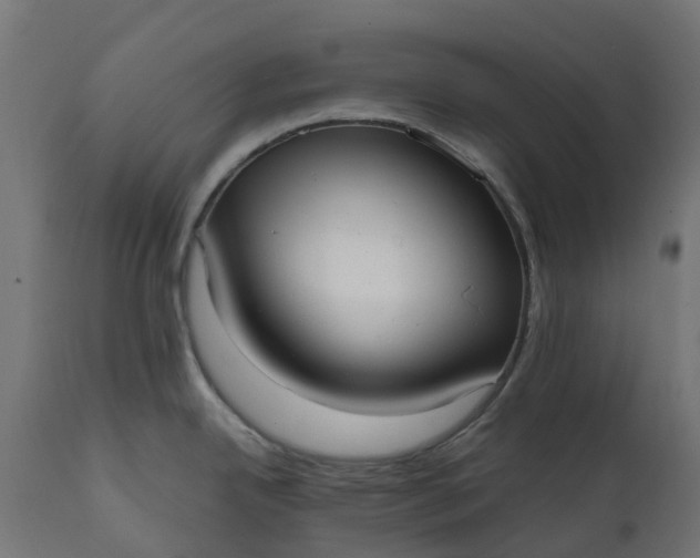 X0000111531342200907281353