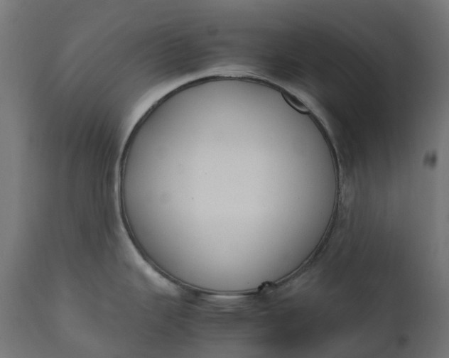 X0000111531343200907281353