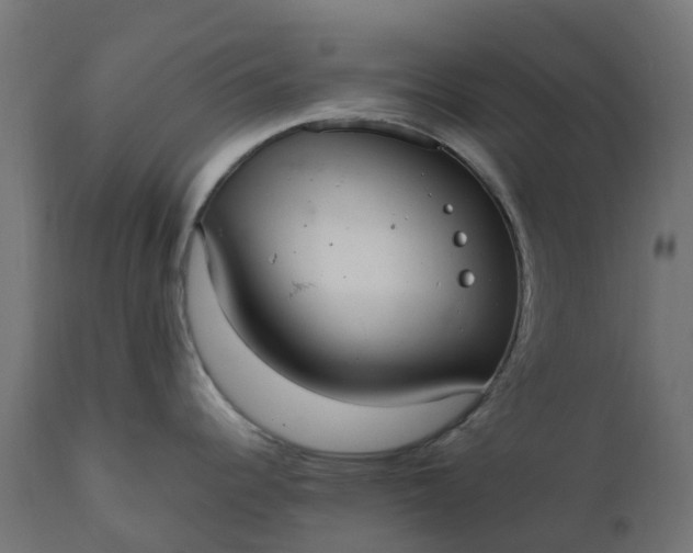 X0000111531344200907281353