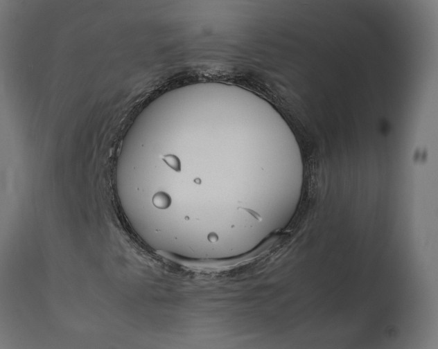 X0000111531345200907281353