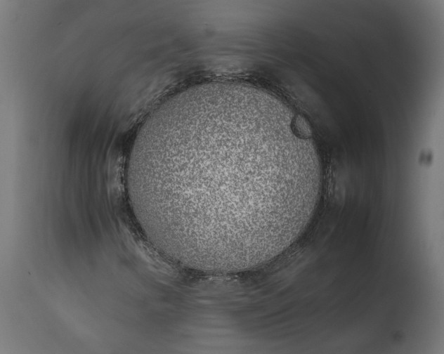 X0000111531346200907281353