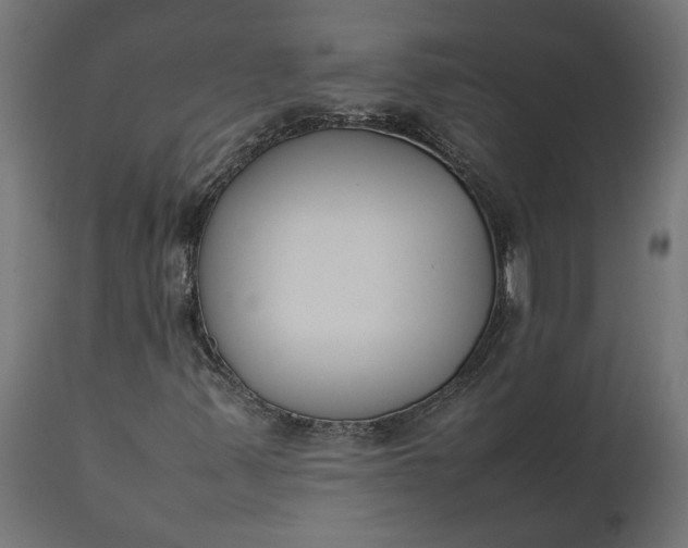 X0000111531347200907281353