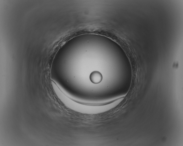 X0000111531349200907281353