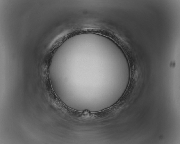 X0000111531351200907281353