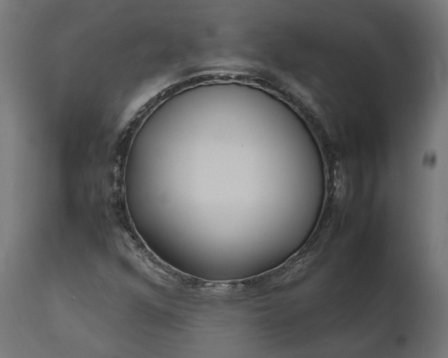 X0000111531352200907281353