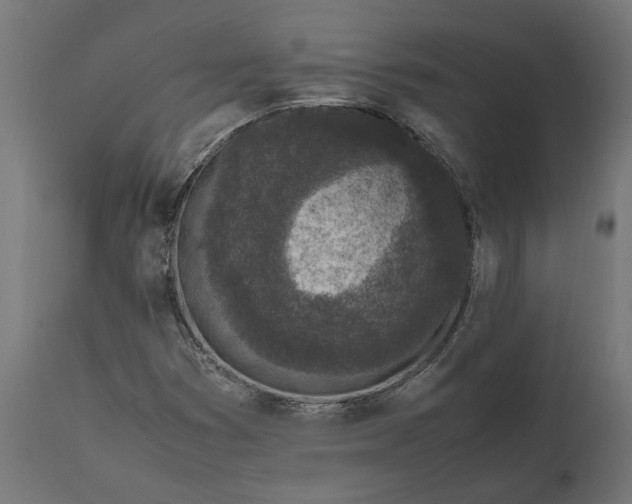 X0000111531353200907281353