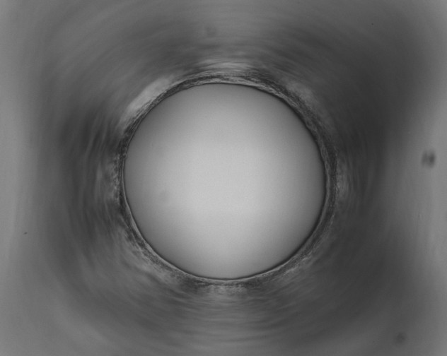 X0000111531354200907281353