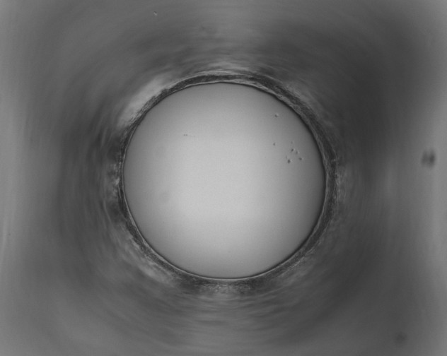 X0000111531355200907281353