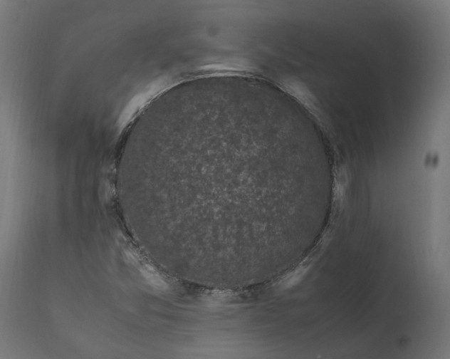 X0000111531357200907281353