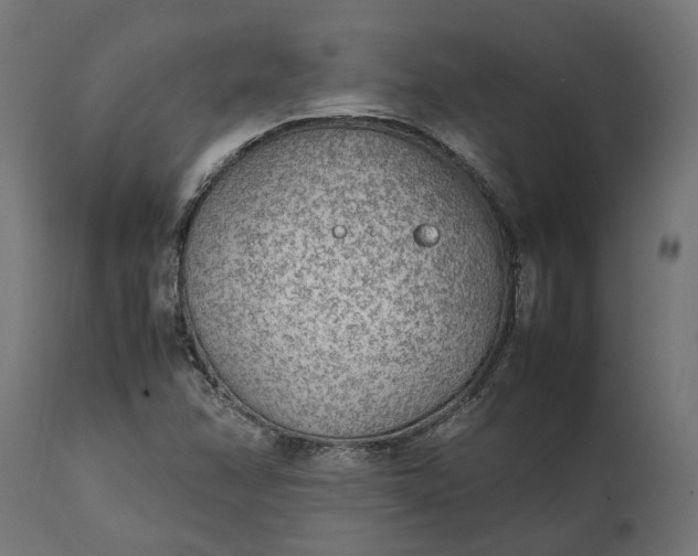 X0000111531358200907281353