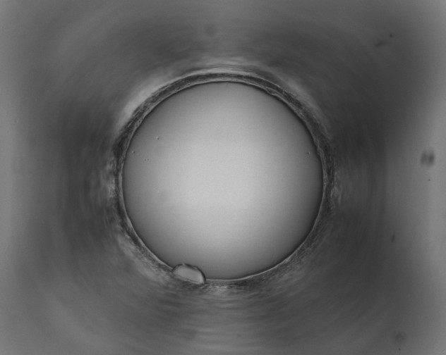 X0000111531360200907281353