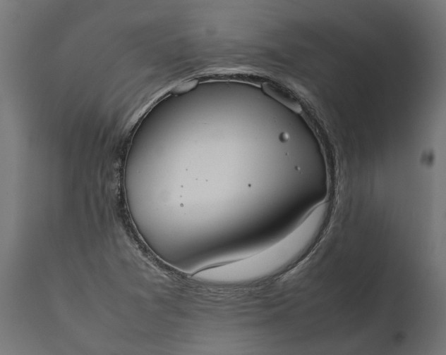 X0000111531361200907281353