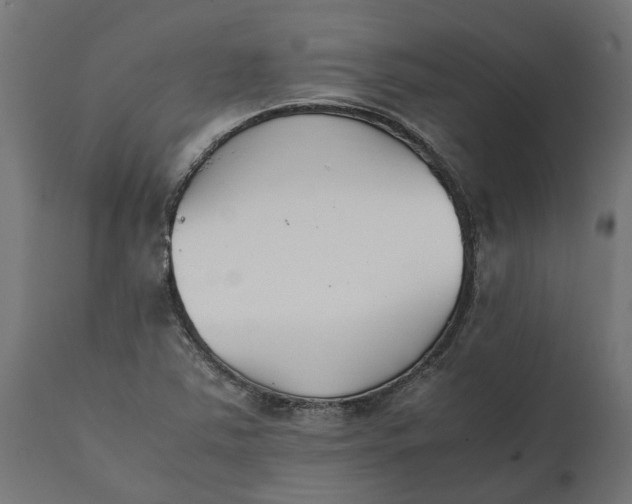 X0000111531363200907281353