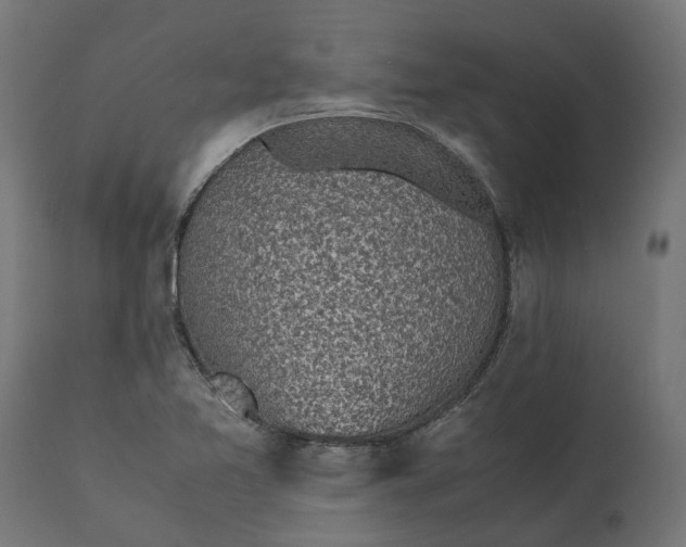 X0000111531365200907281353