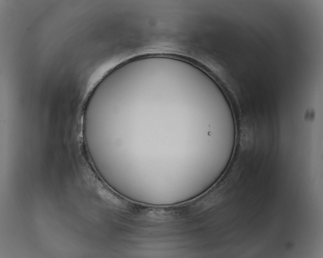 X0000111531366200907281352