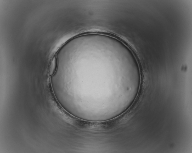 X0000111531367200907281352