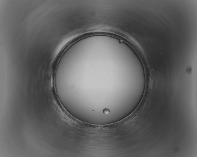 X0000111531368200907281352