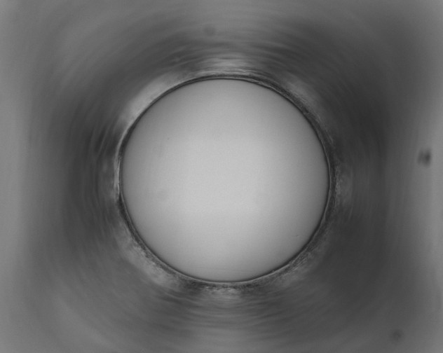 X0000111531370200907281352