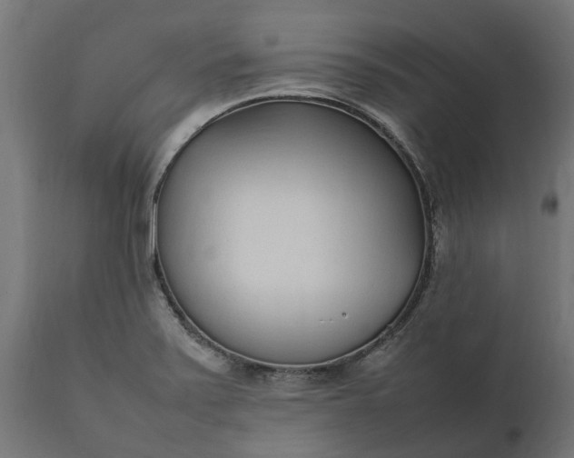 X0000111531371200907281352