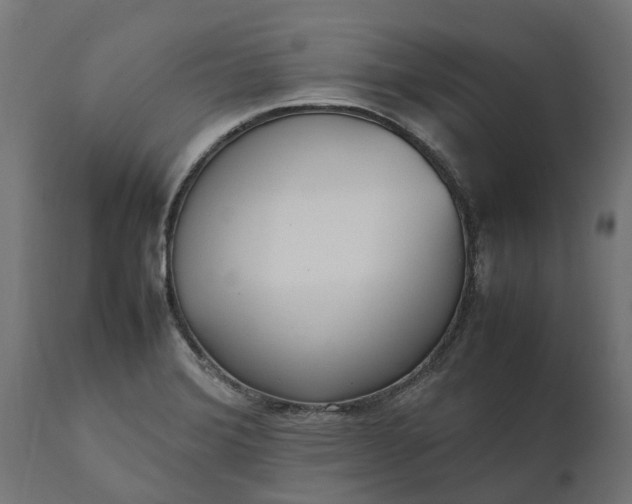 X0000111531372200907281352