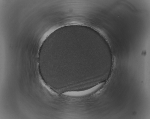 X0000111531373200907281352