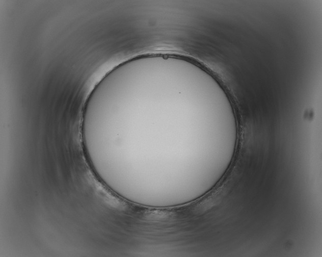 X0000111531374200907281352