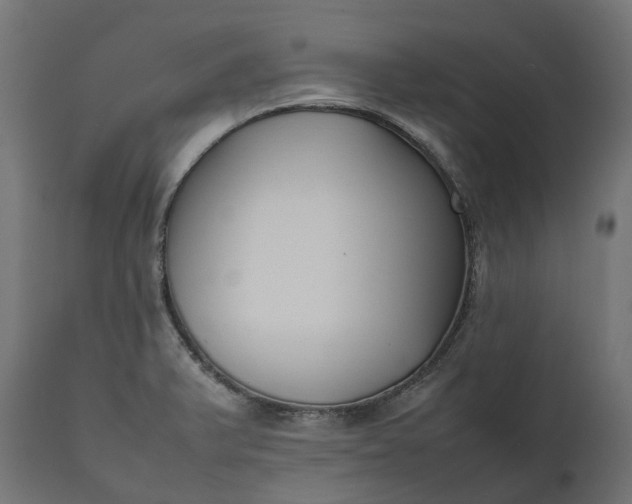 X0000111531375200907281352