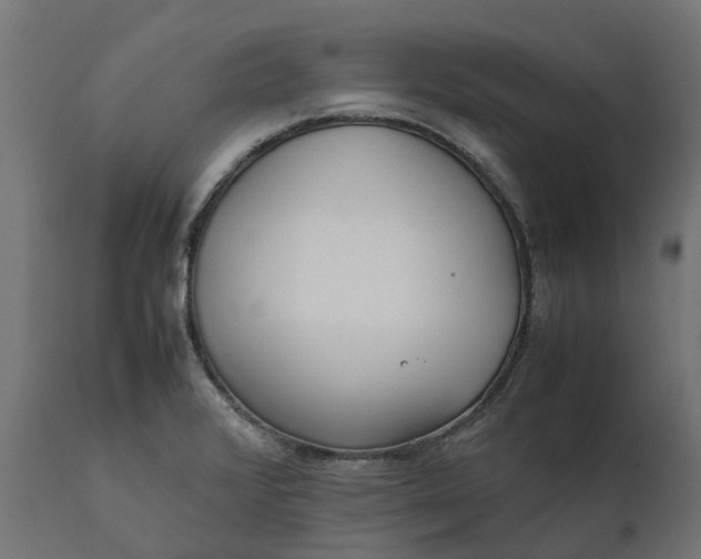 X0000111531376200907281352