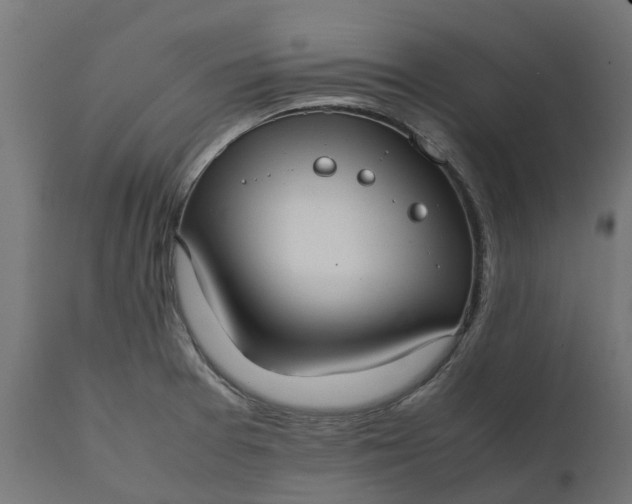 X0000111531377200907281352