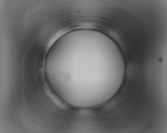 X0000111531378200907281352