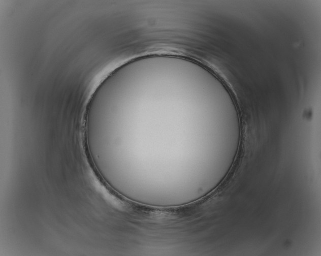 X0000111531379200907281352