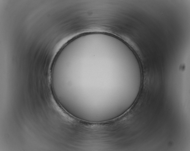 X0000111531380200907281352