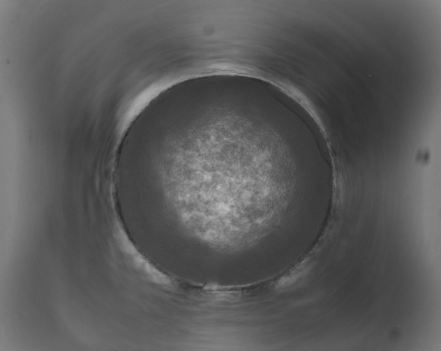 X0000111531381200907281352