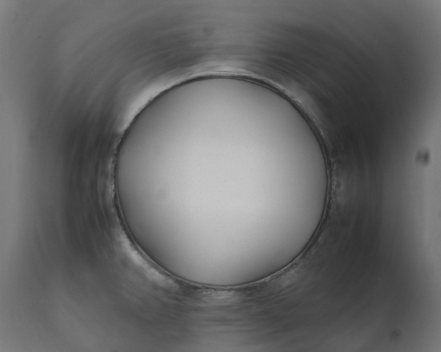 X0000111531382200907281352