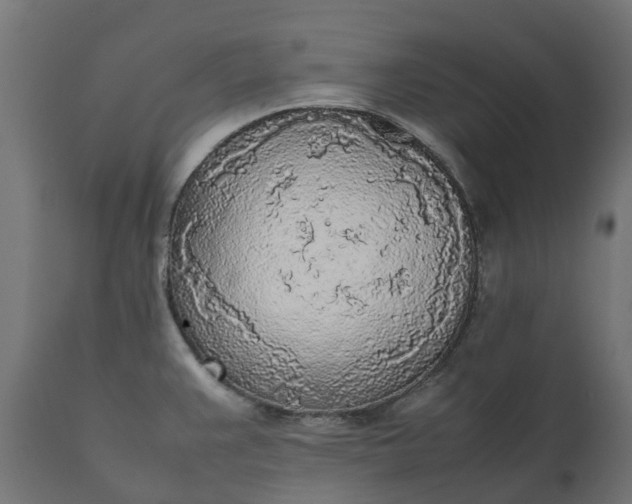 X0000111531383200907281352