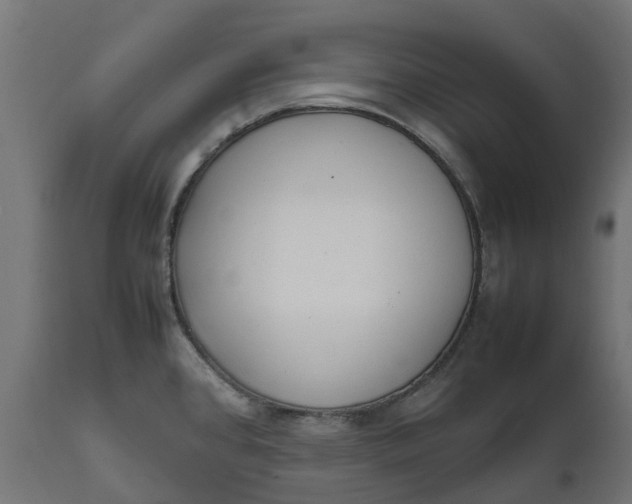 X0000111531384200907281352