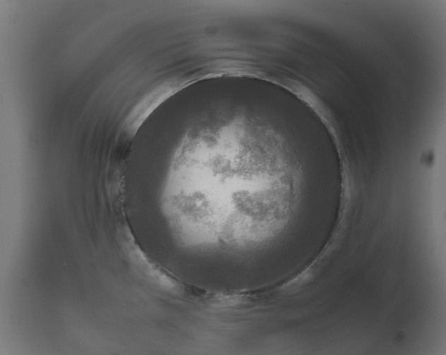 X0000111531385200907281352