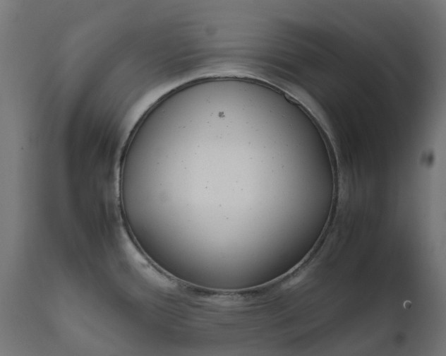 X0000111531388200907281352