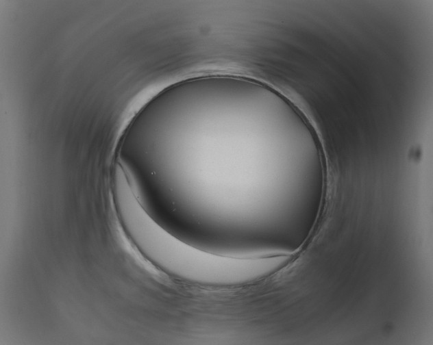 X0000111531389200907281352