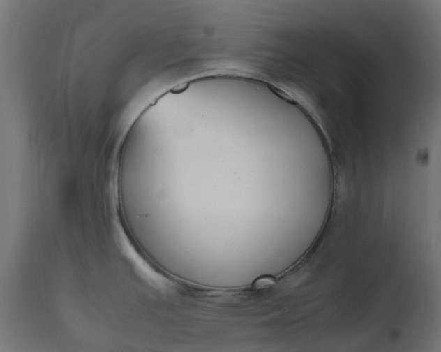 X0000111531391200907281352