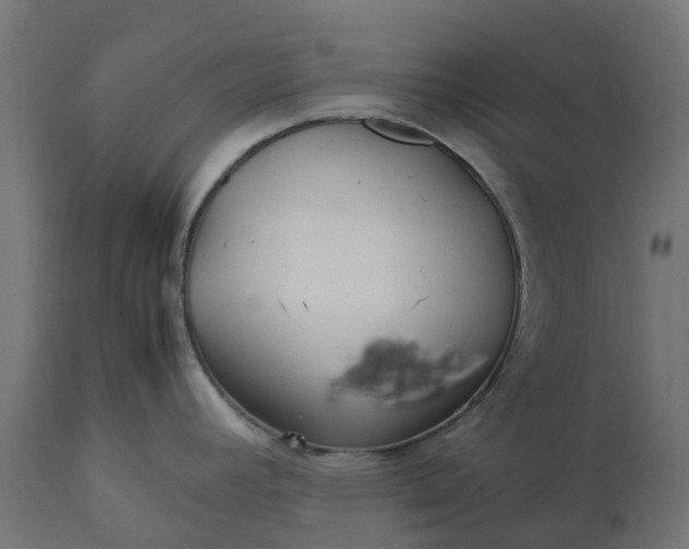 X0000111531392200907281352